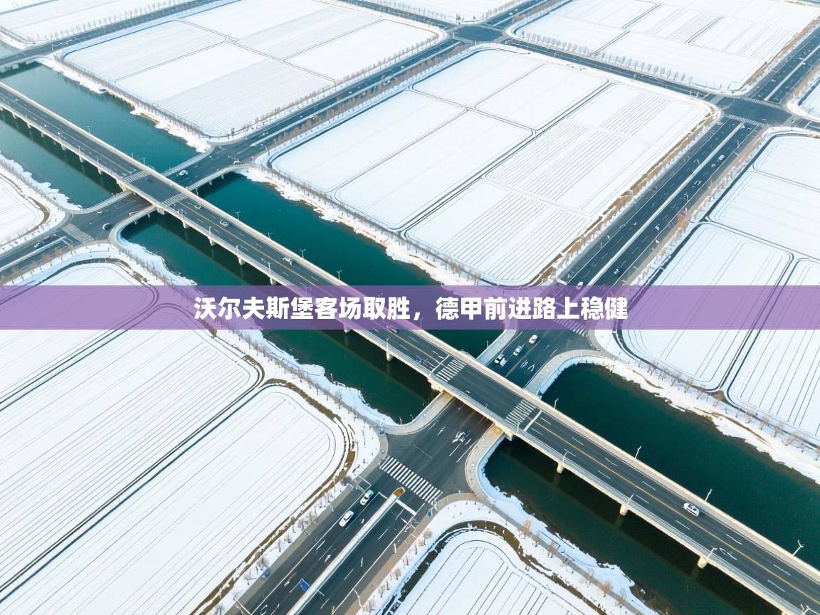 沃尔夫斯堡客场取胜，德甲前进路上稳健  第2张