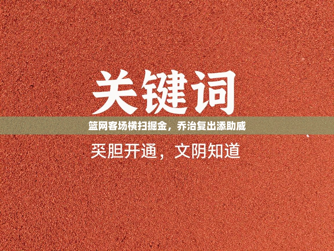 篮网客场横扫掘金，乔治复出添助威  第2张