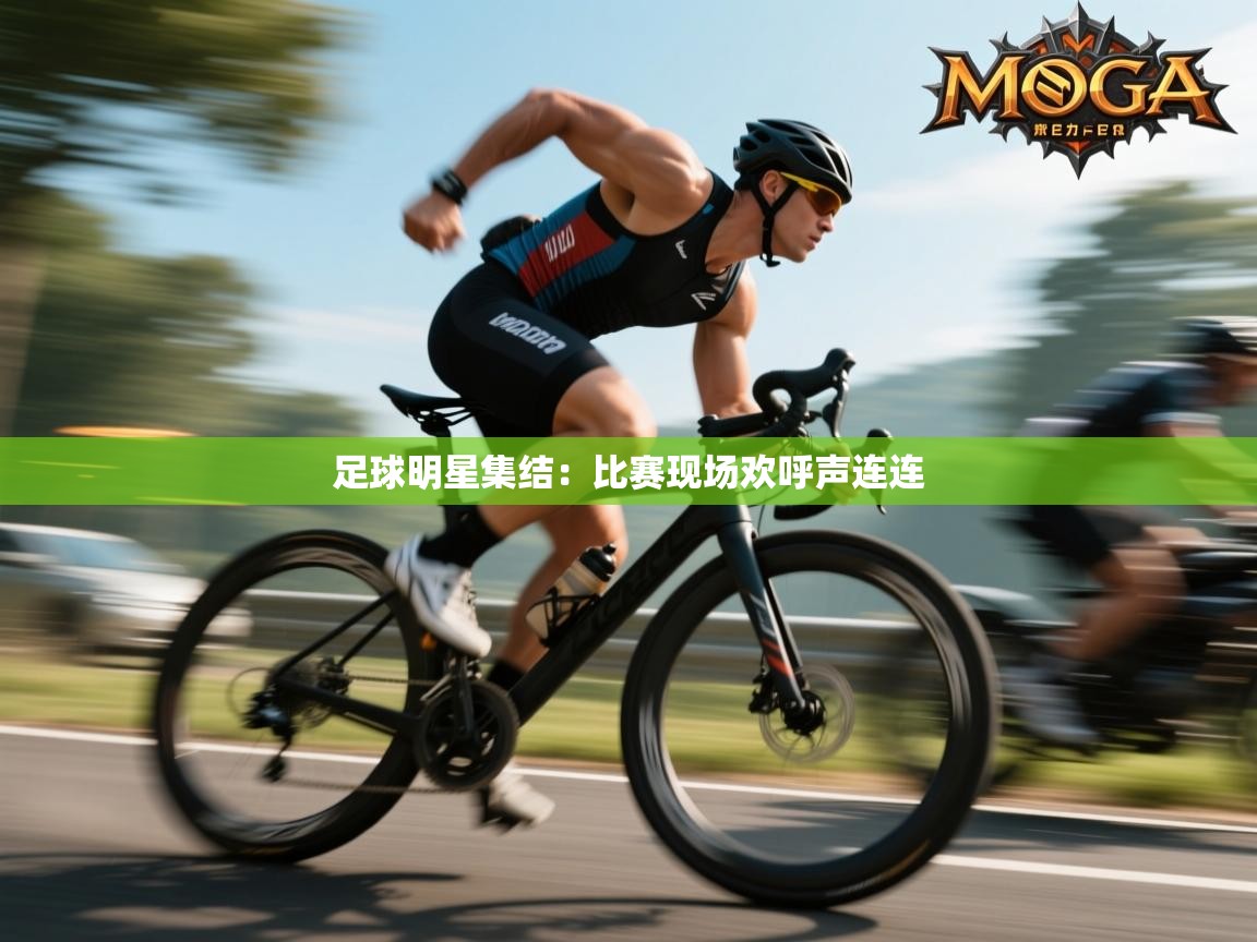 足球明星集结：比赛现场欢呼声连连  第2张