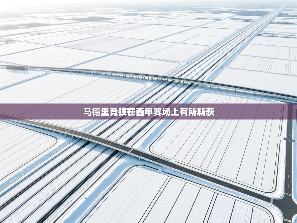 马德里竞技在西甲赛场上有所斩获  第1张