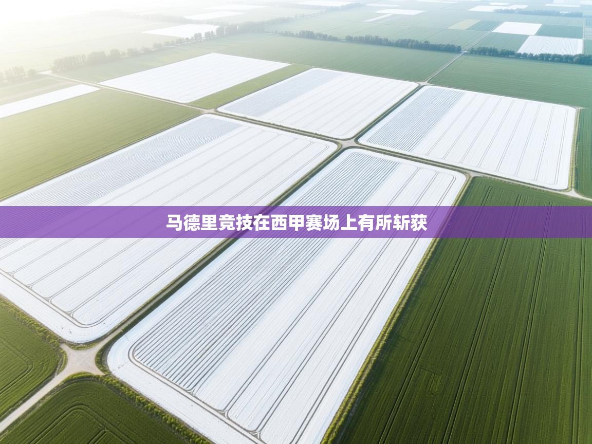 马德里竞技在西甲赛场上有所斩获  第2张