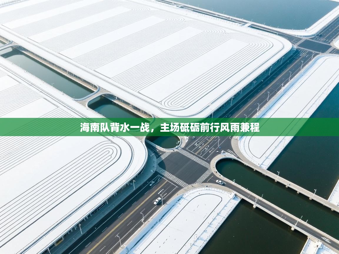 海南队背水一战，主场砥砺前行风雨兼程  第1张