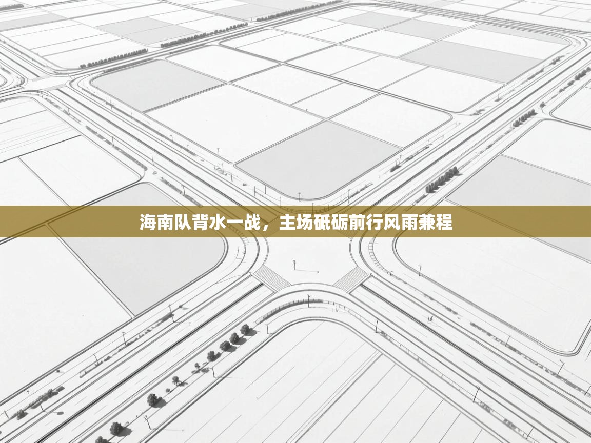 海南队背水一战，主场砥砺前行风雨兼程  第2张