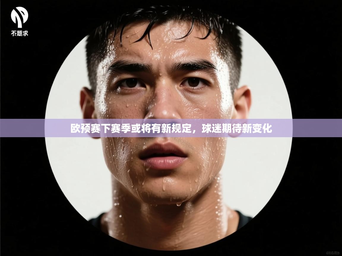 欧预赛下赛季或将有新规定,球迷期待新变化 第1张