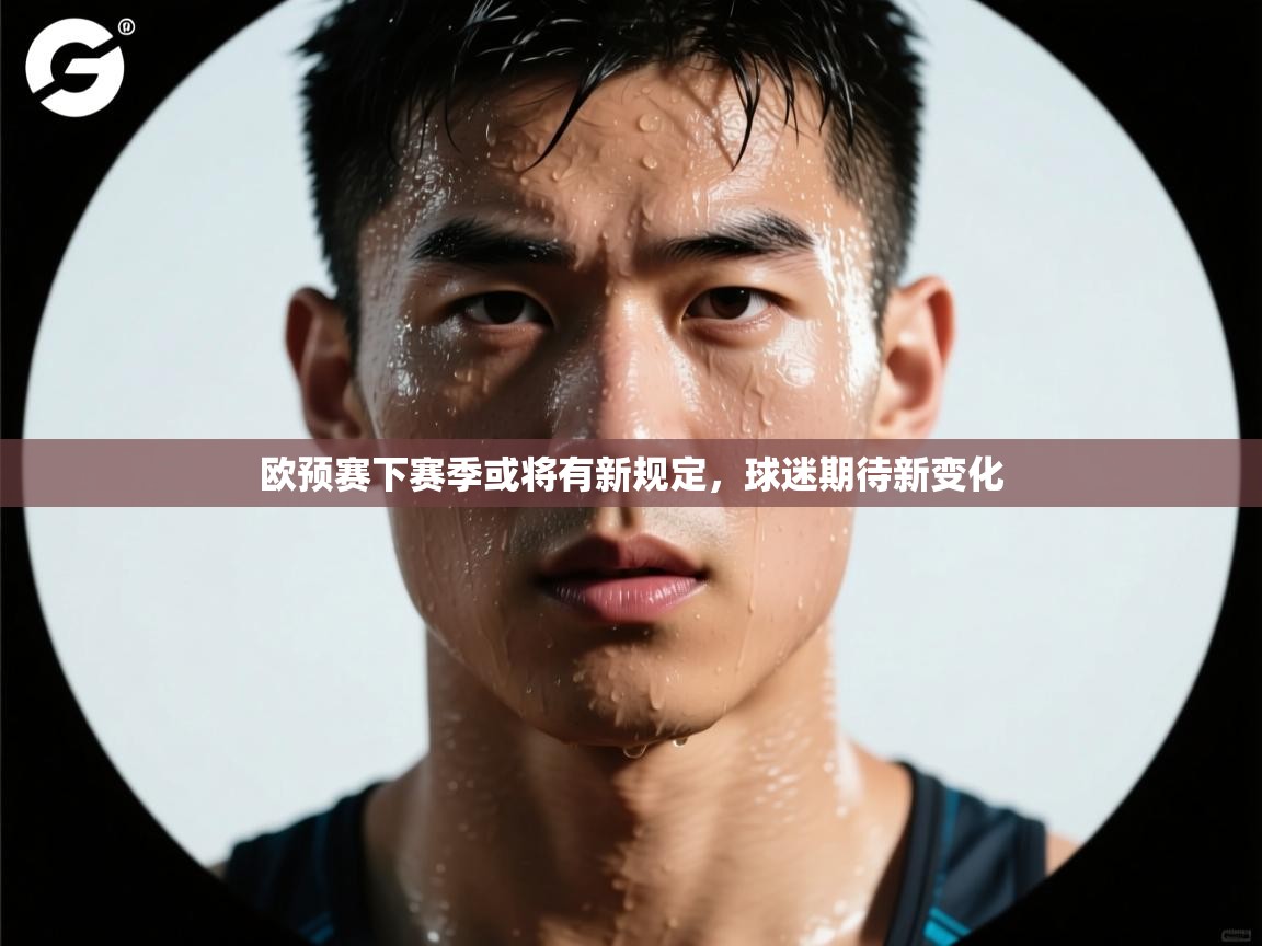 欧预赛下赛季或将有新规定,球迷期待新变化 第2张