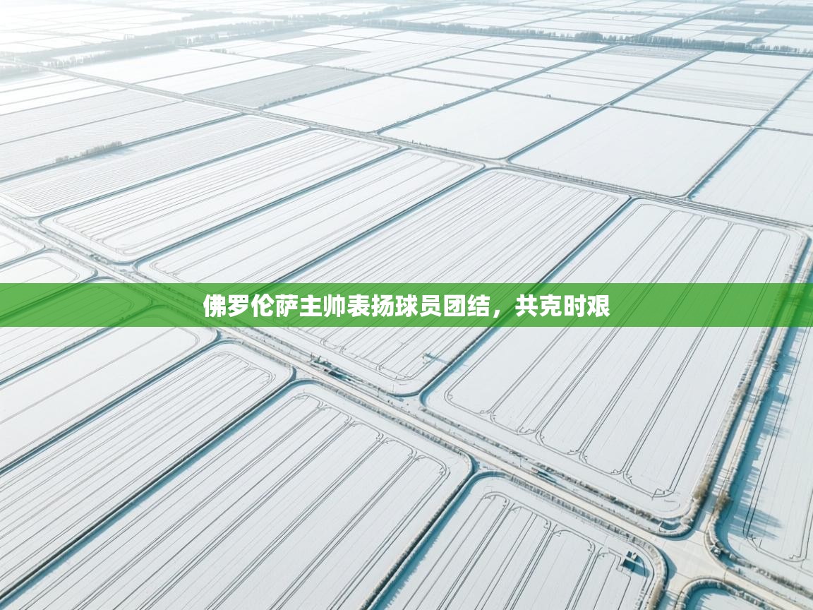 佛罗伦萨主帅表扬球员团结,共克时艰 第2张