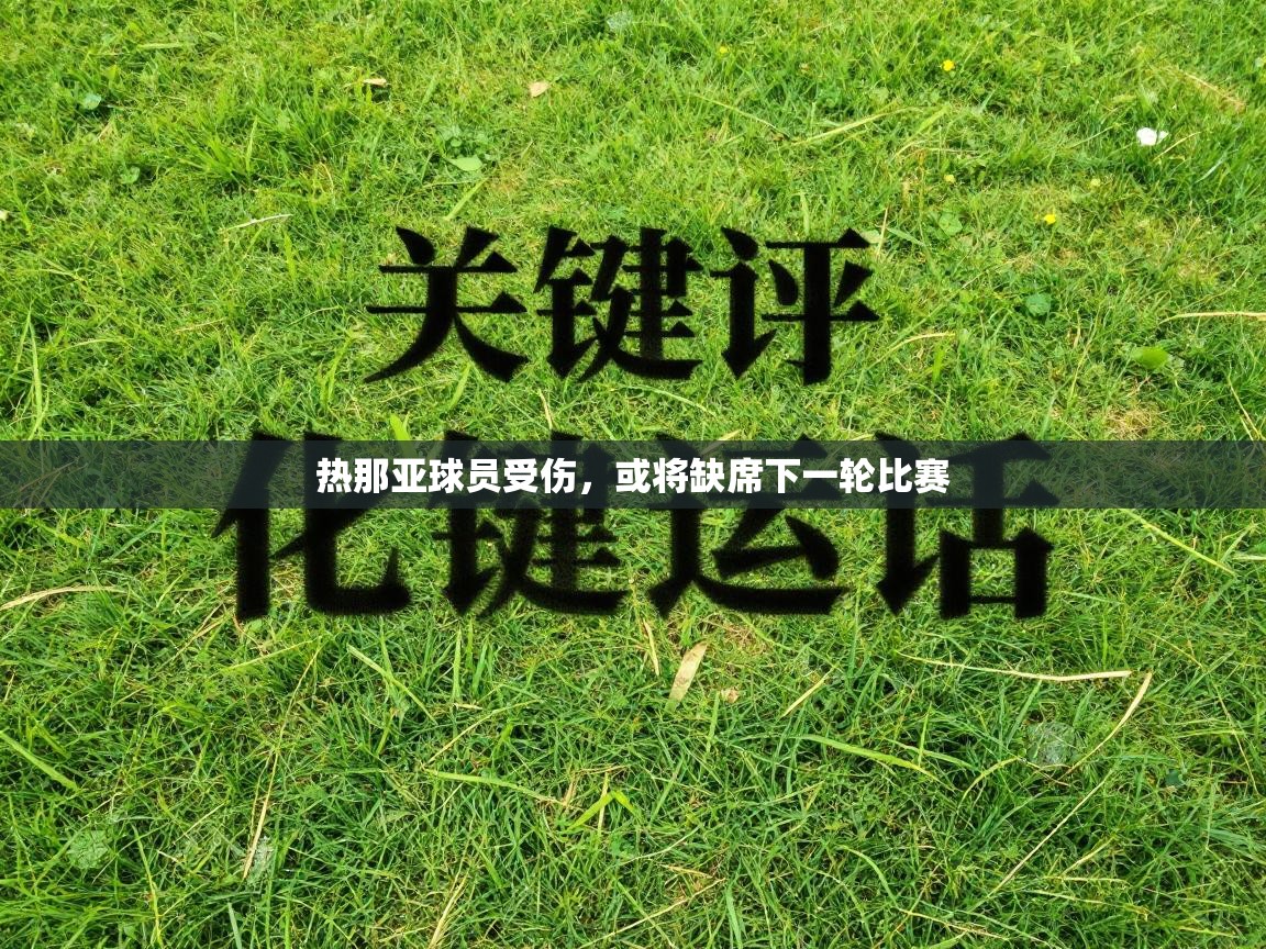 热那亚球员受伤，或将缺席下一轮比赛  第1张