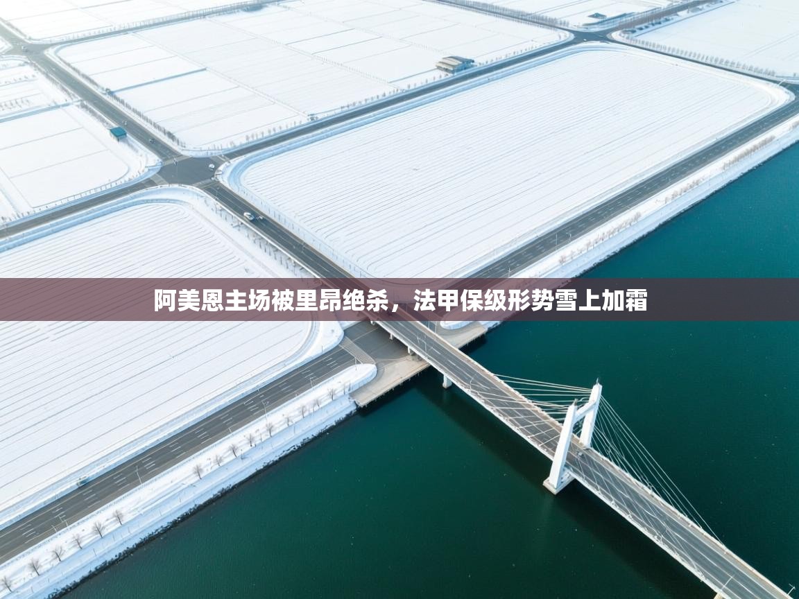 阿美恩主场被里昂绝杀，法甲保级形势雪上加霜  第1张