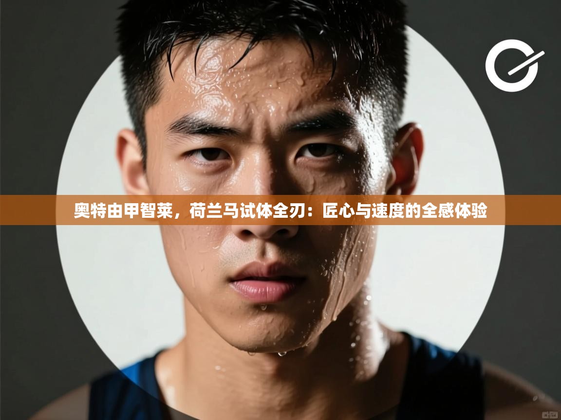 奥特由甲智莱,荷兰马试体全刃:匠心与速度的全感体验 第1张