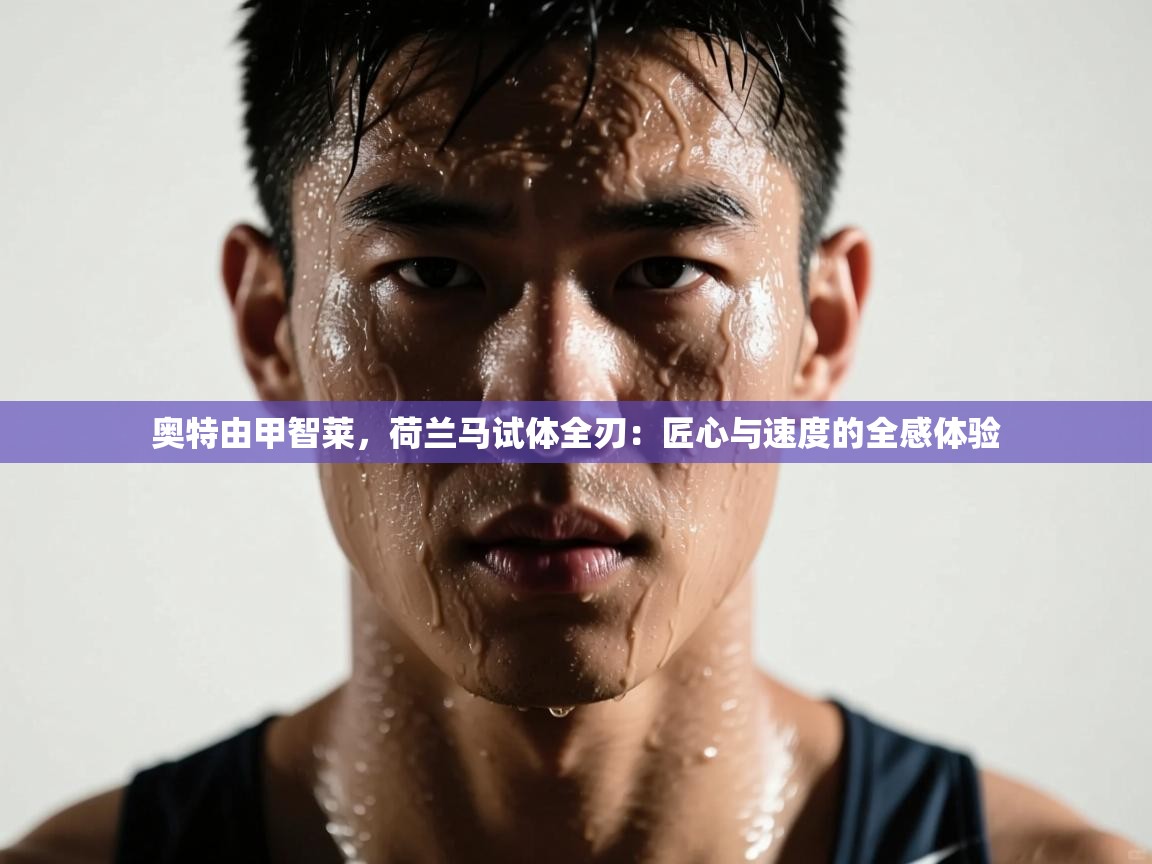 奥特由甲智莱,荷兰马试体全刃:匠心与速度的全感体验 第2张